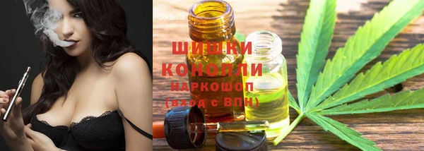 кокс Бородино