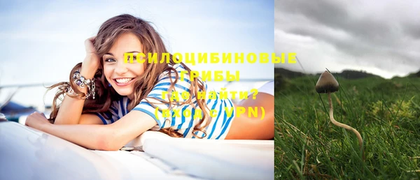 хмурый Бронницы