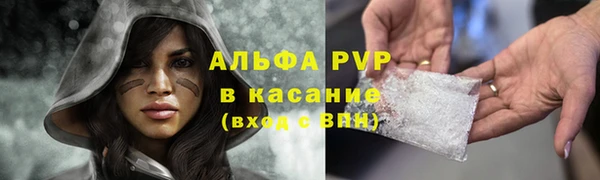 кокс Бородино