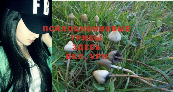 хмурый Бронницы