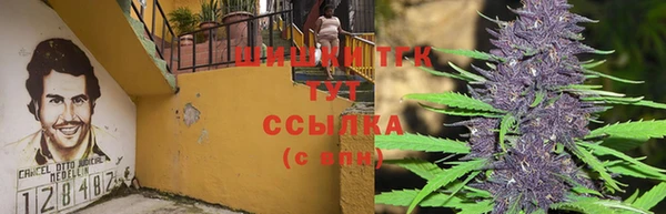 хмурый Бронницы