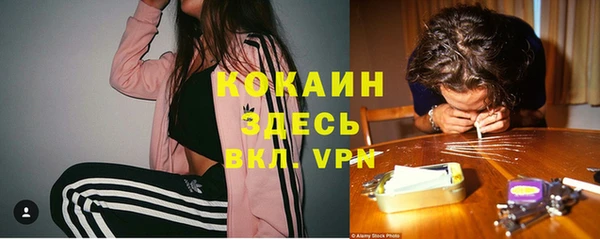 кокс Бородино