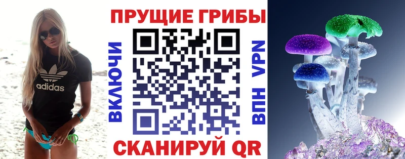 Псилоцибиновые грибы прущие грибы Вышний Волочёк